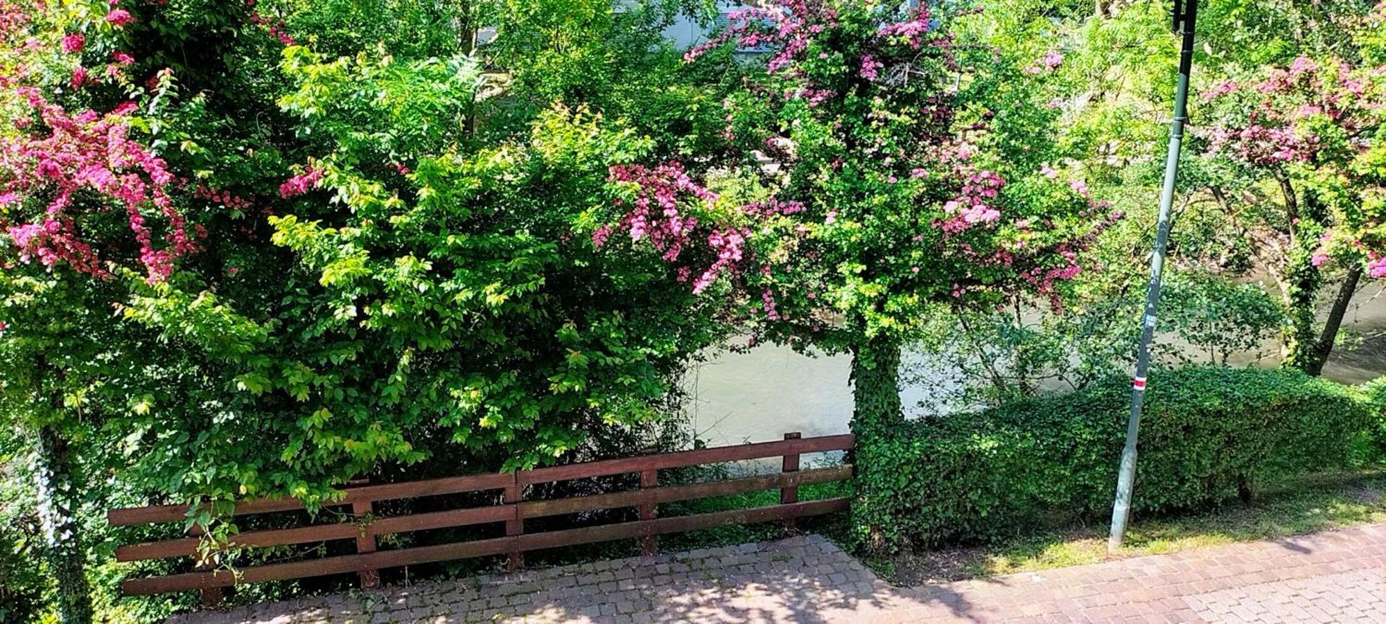 Alte Stadtmauer - Apartment Sinsheim Eksteriør bilde