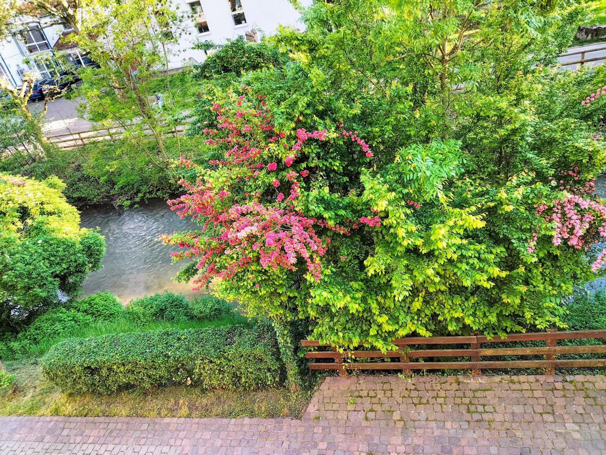 Alte Stadtmauer - Apartment Sinsheim Eksteriør bilde